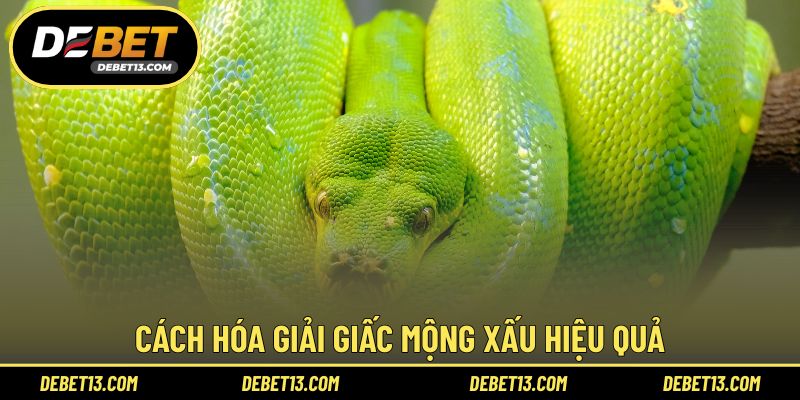 Cách hóa giải giấc mộng xấu hiệu quả